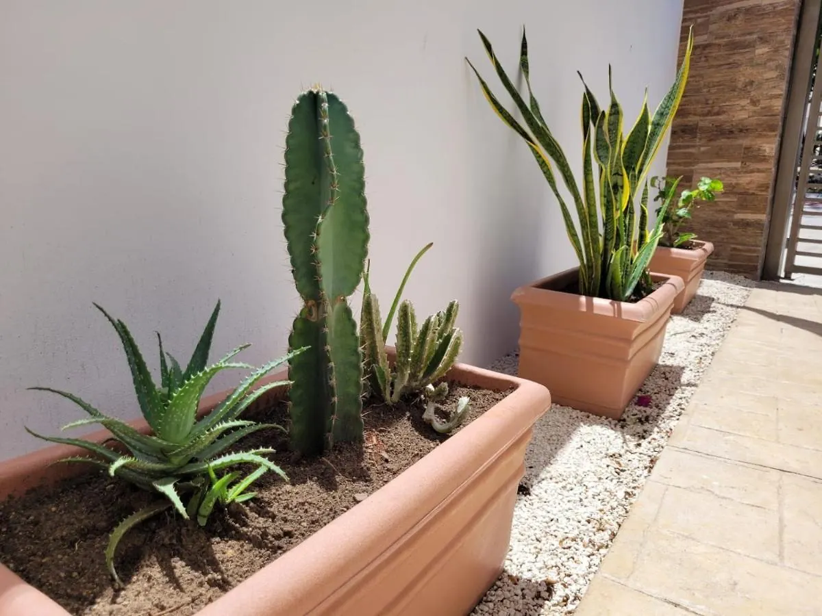 Prázdninový dům Maison Playa Playa del Carmen